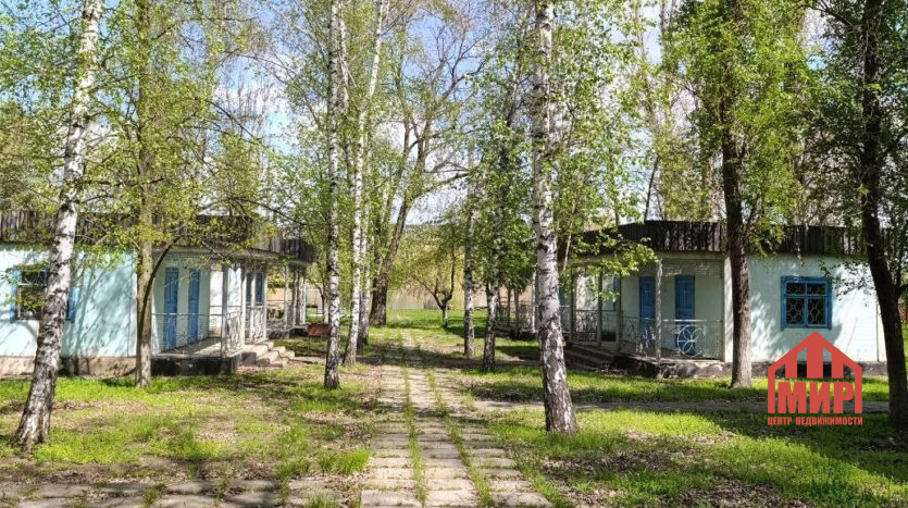 Без названия — Фото 10