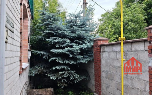 Дом на Путиловке — Фото 1