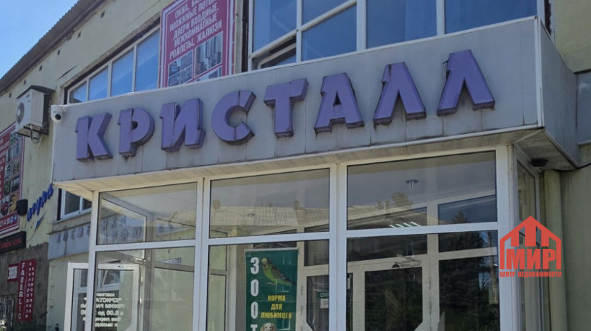 Магазин, п.Объединенный — Фото 1